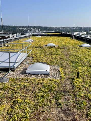 Flat roof covering in Lithuania and Europe