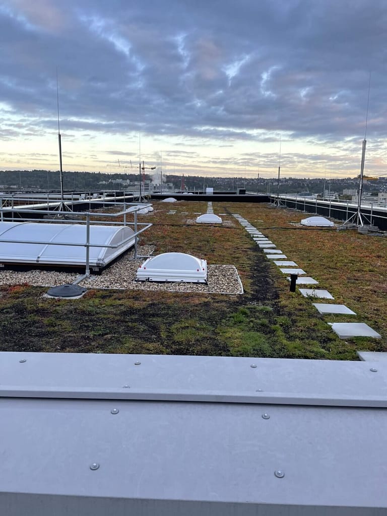 Flat roof covering in Lithuania and Europe